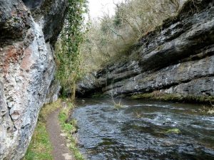 Deep Dale Nature Reserve the best walks in the Peak District